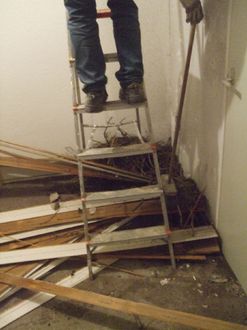 Dag 4 & 5 - Foto 22 van 40