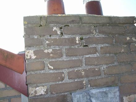 Dag 7 - Foto 11 van 74